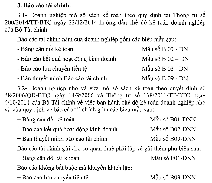 bao cao tai chinh.jpg