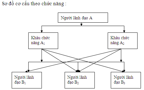 cc2.png
