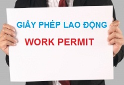 giaypheplaodong-congtyluat.jpg
