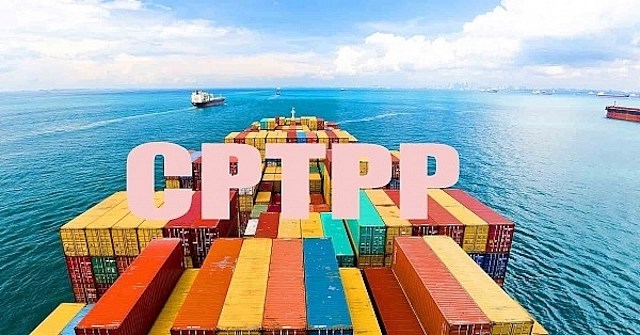 tpp.jpg