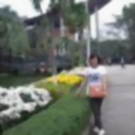 thaonguyenvp