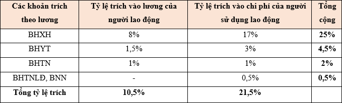 5 luuy.png