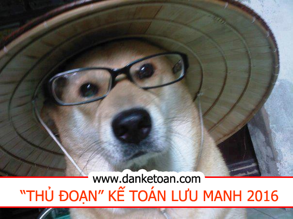 ke-toan-luu-manh.jpg