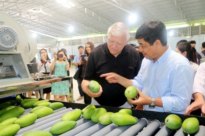 mỹ.jpg