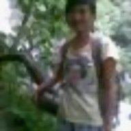bi_ngo_aof