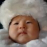 banhbaosua