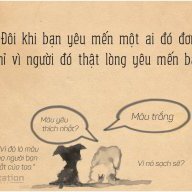 Bảo Bình 1801