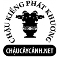 chaucaycanhhcm