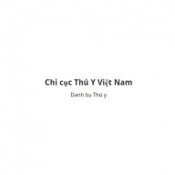 chicucthuy