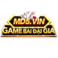 md5vin