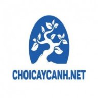Chơi Cây Cảnh