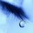 Binh_kt